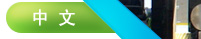 中文